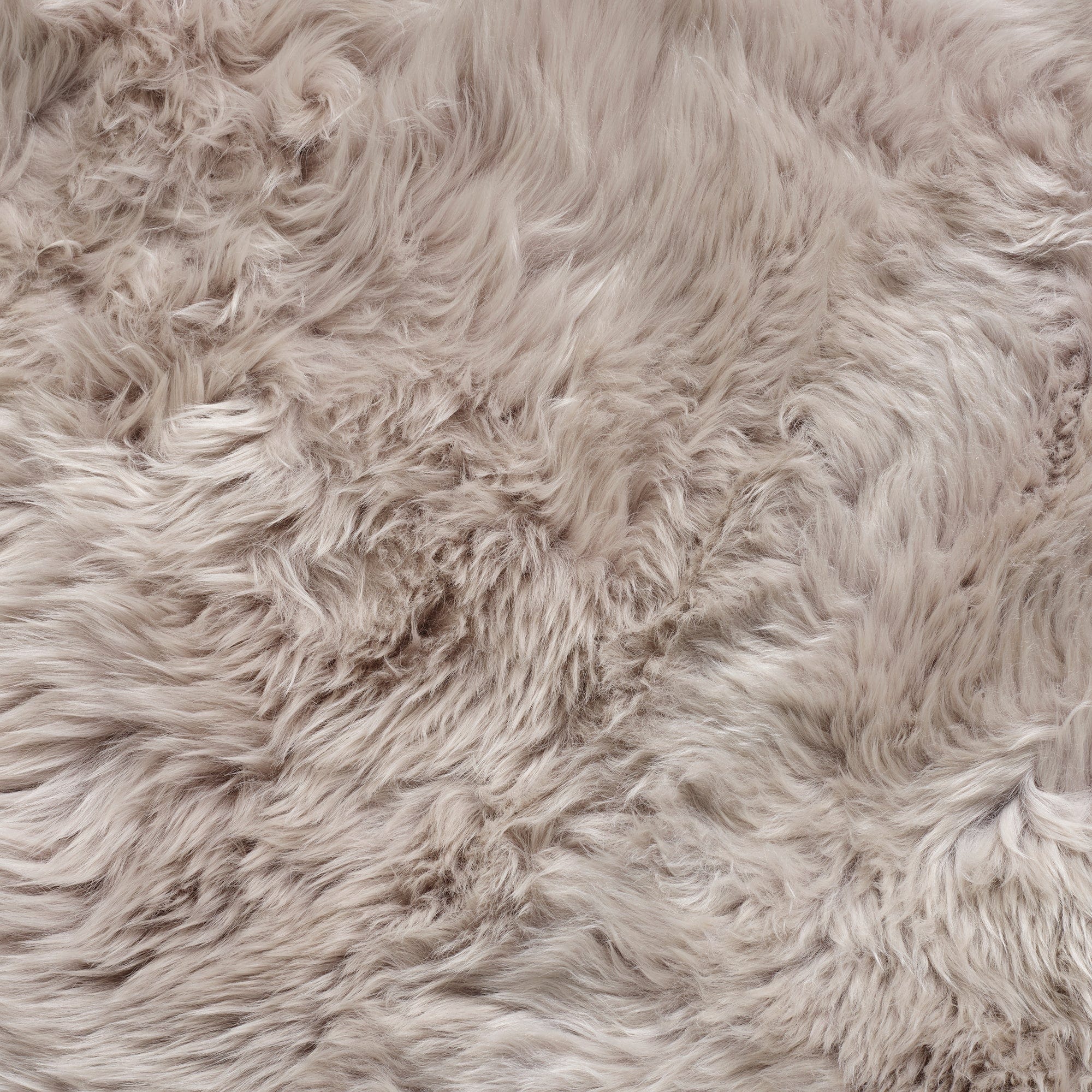 Sheepskin - Single Piece Rug - Image 34