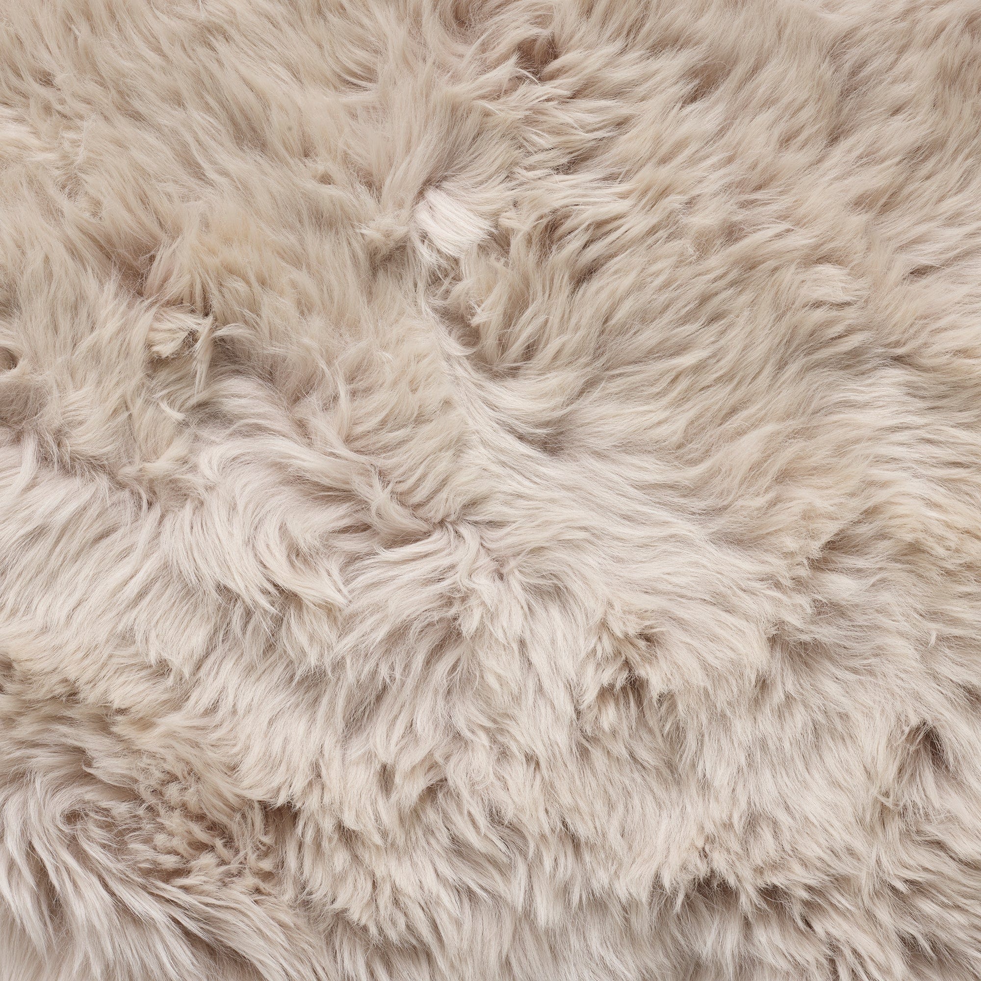 Sheepskin - Single Piece Rug - Image 38