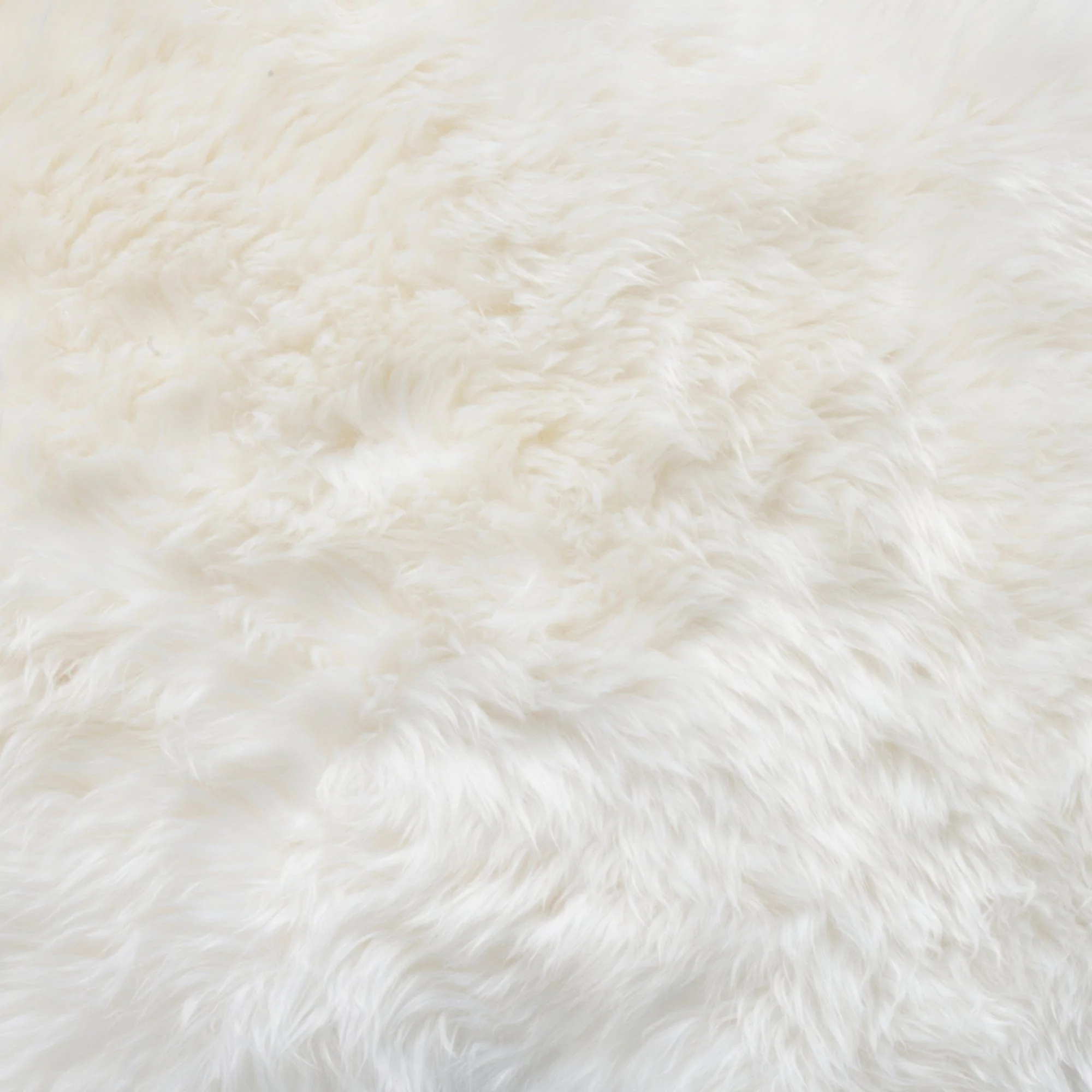 Sheepskin - Single Piece Rug - Image 42