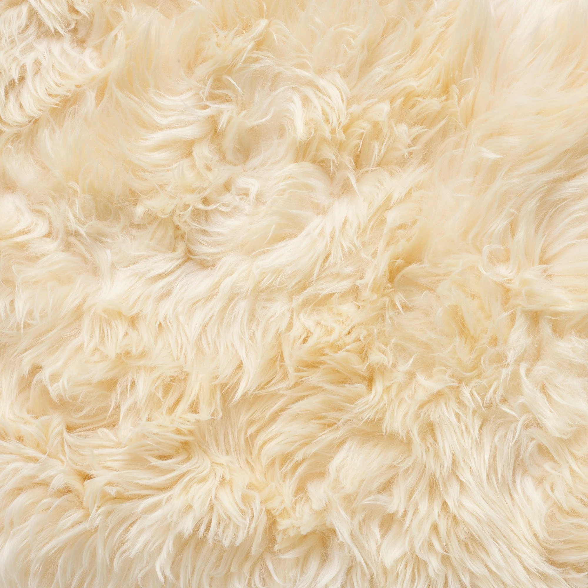 Sheepskin - Single Piece Rug - Image 44
